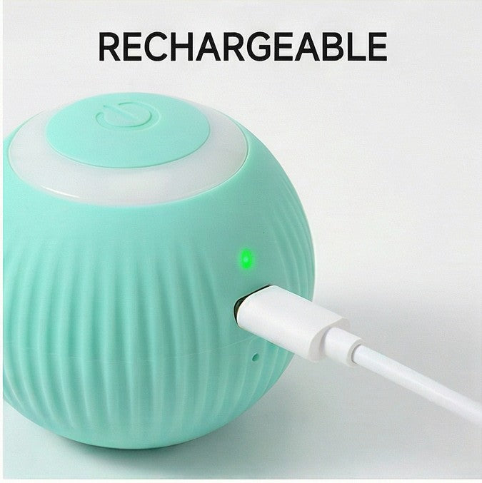 balle pour chatballe pour chat