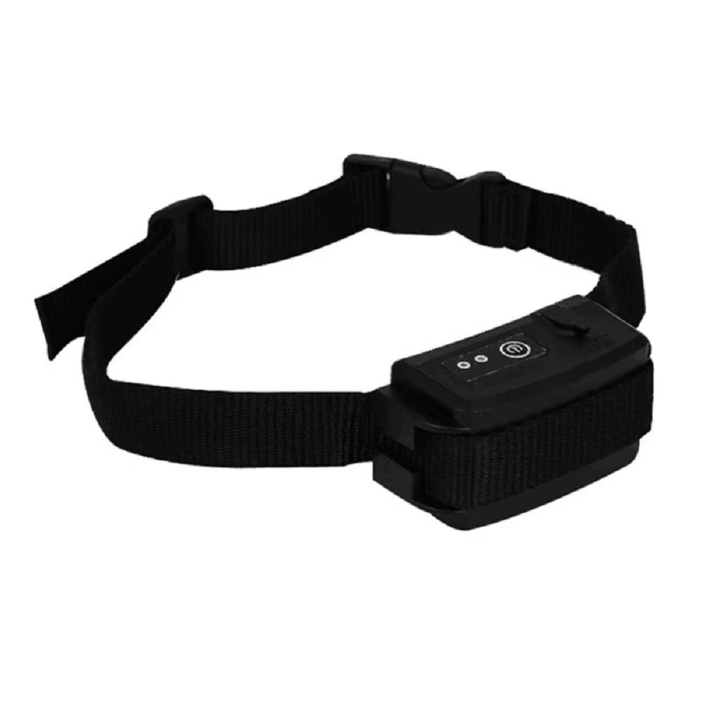 clôture souterraine électrique chien