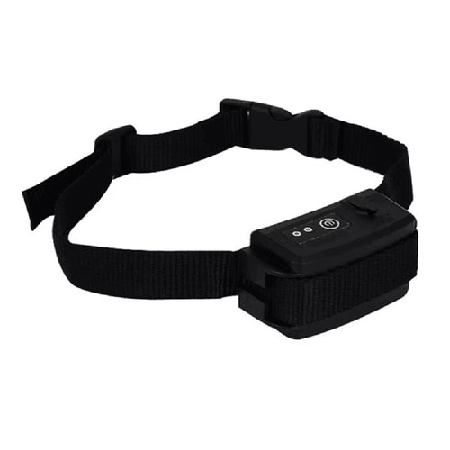 clôture souterraine électrique chien