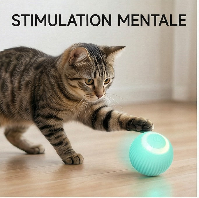balle pour chat